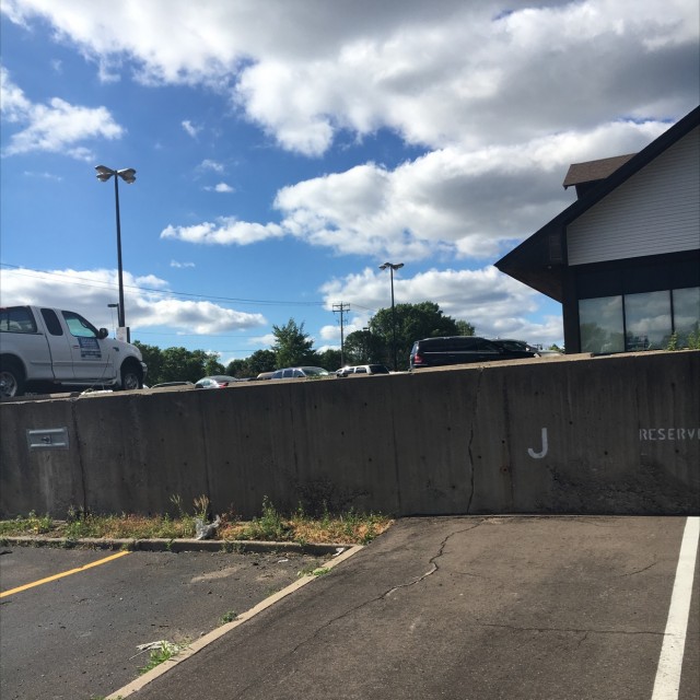 Pet hospital gap