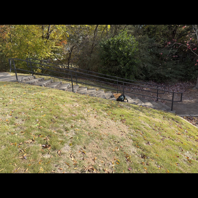 Spot #50363