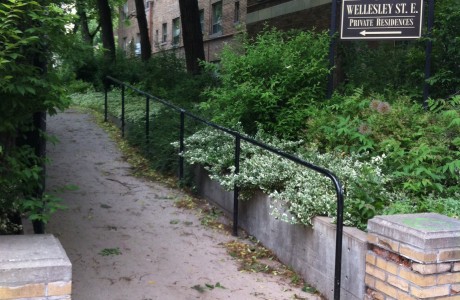 Wellesley Street Rail