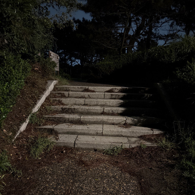 路面悪いステア