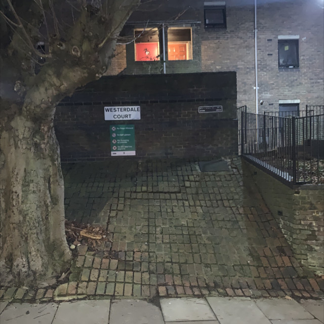 Western ale court 