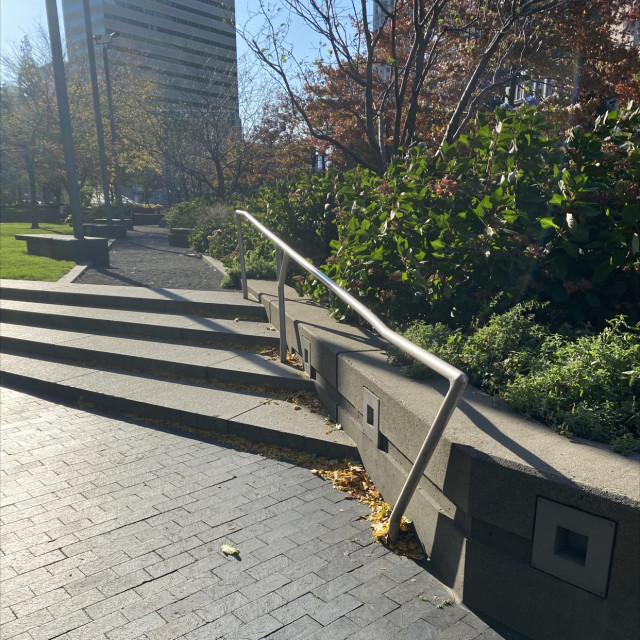 Congress st rail 