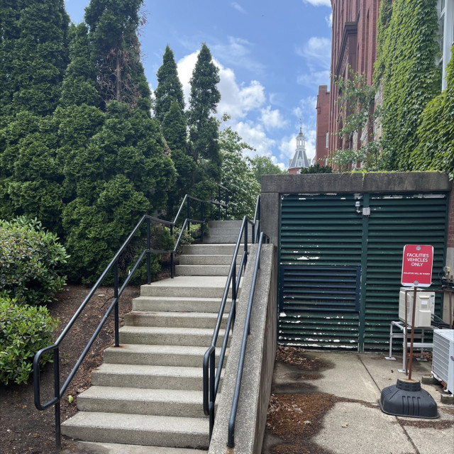 Spot #37523