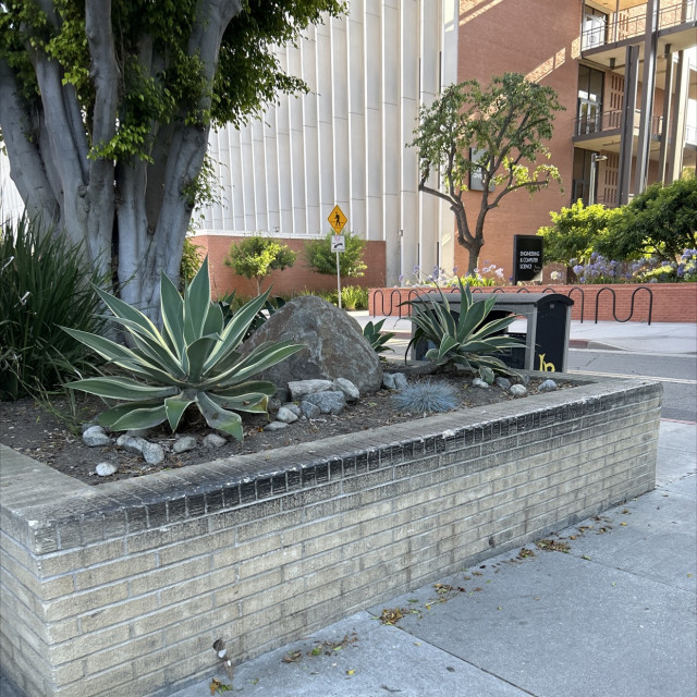 Nice ledge