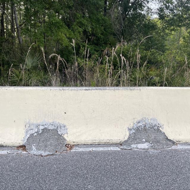 Cypress Creek Barrier