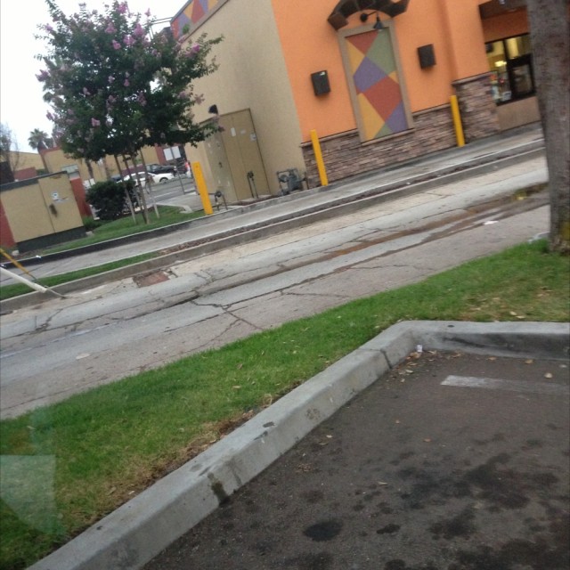 Taco Bell mission beach