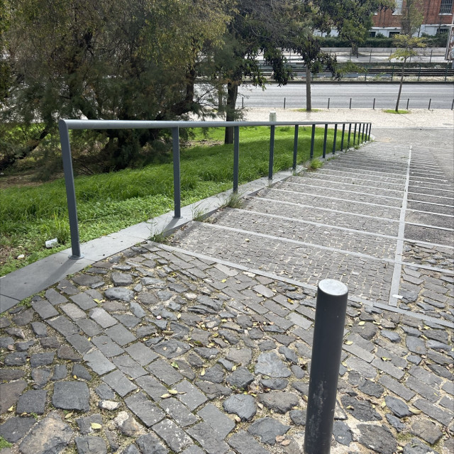 Long rail