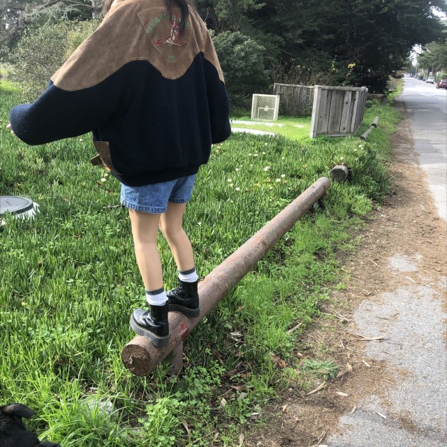 Dolly rail