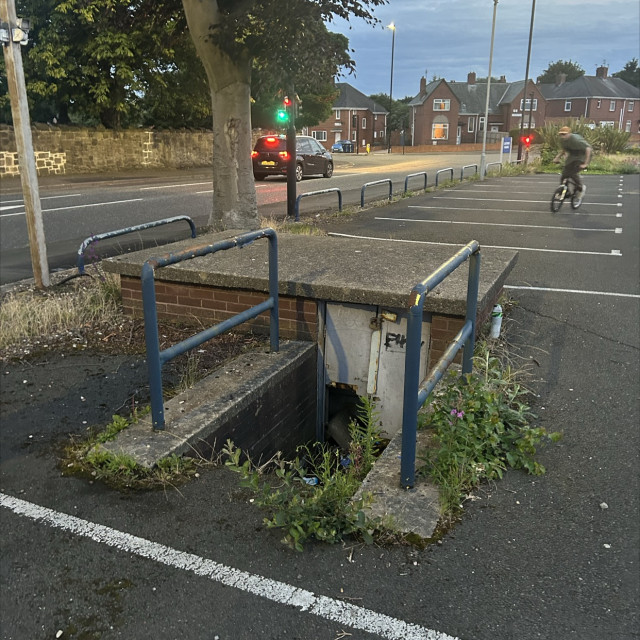 Rail 