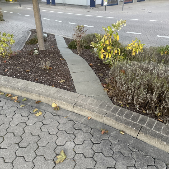 Spot #49653