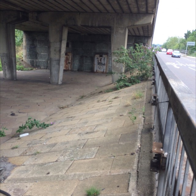Spot #5606
