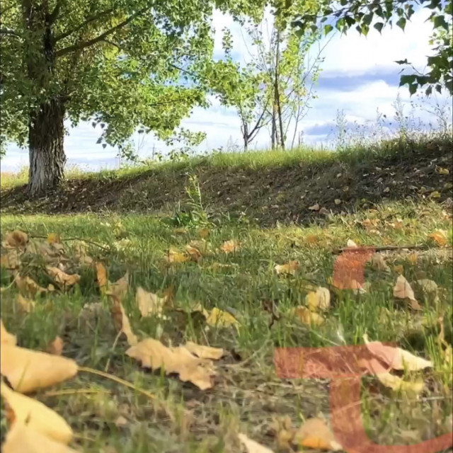 Dirt quarter pipe 