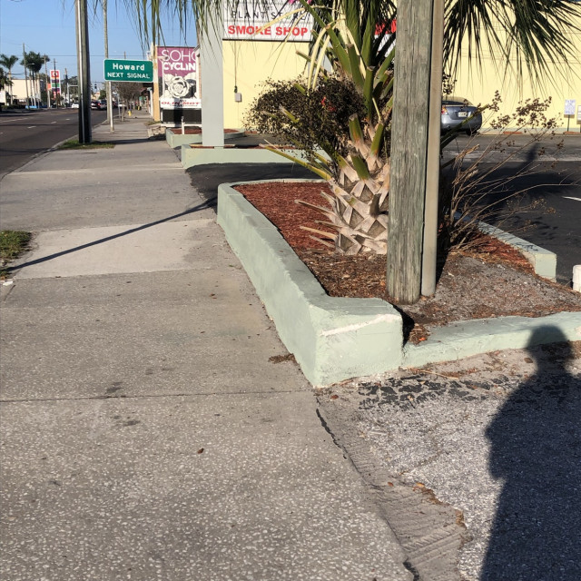 tampa hydro teal ledgez