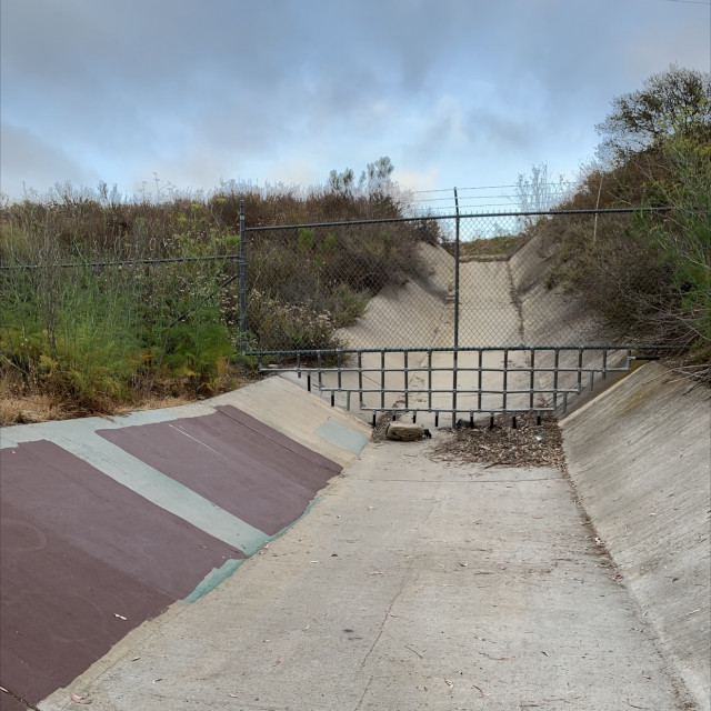 ditch spot