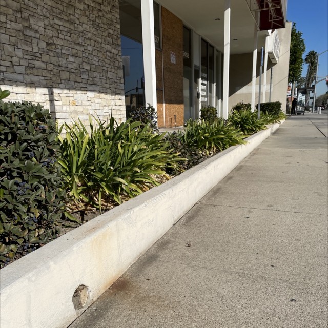 Buttery Ledge