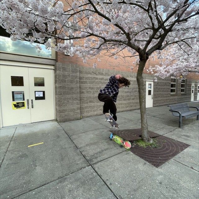 Ballard high