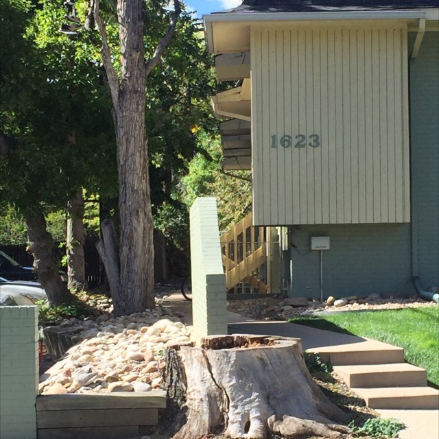 Spot #6207
