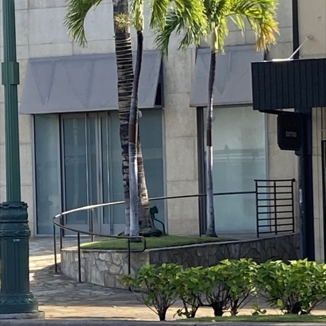 Bottega C Rail