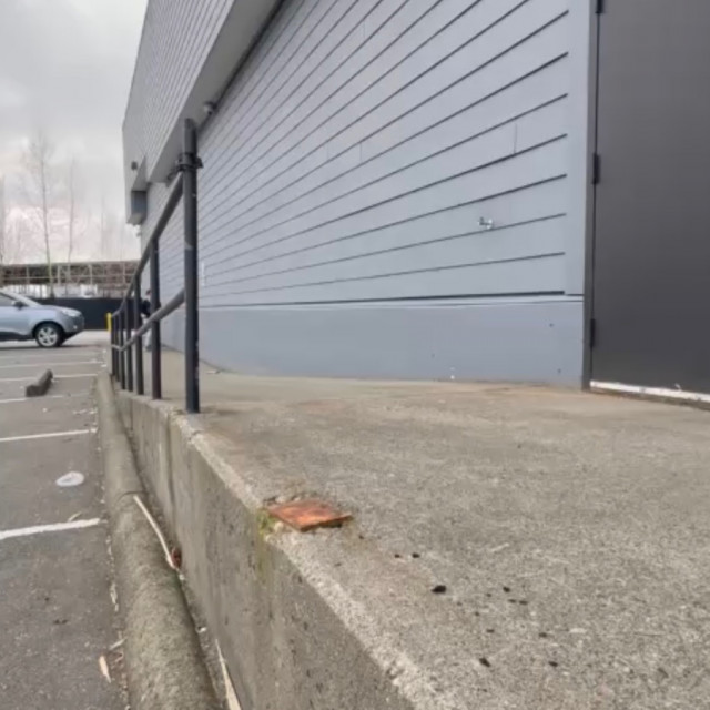 Spot #51771