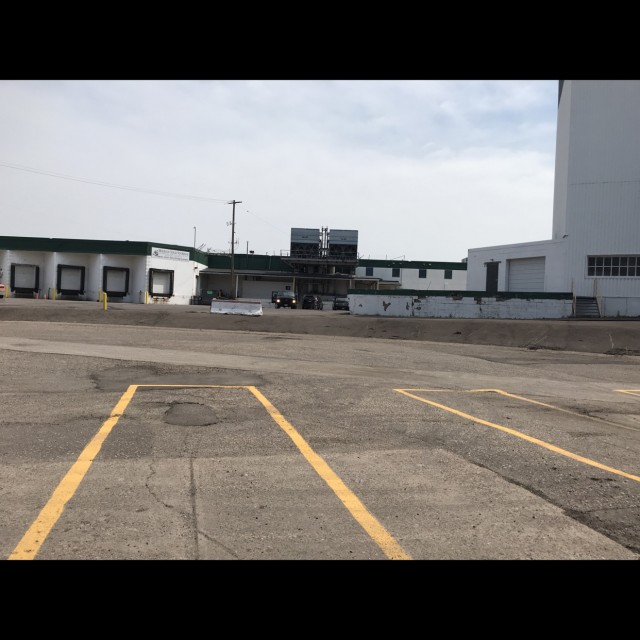 Mellow fly out 