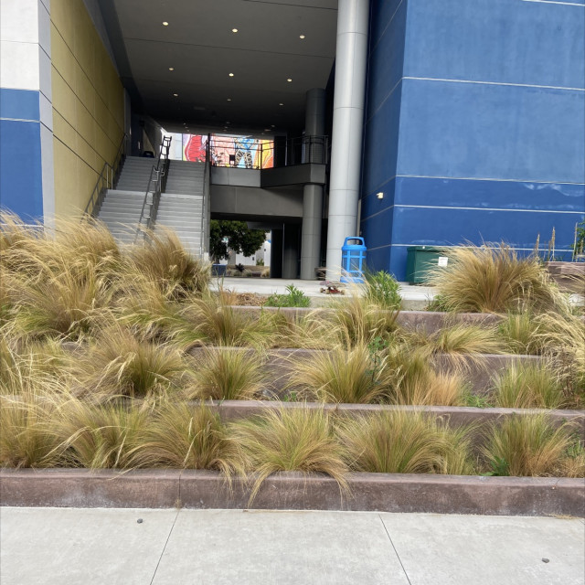 Beautiful grass gap 