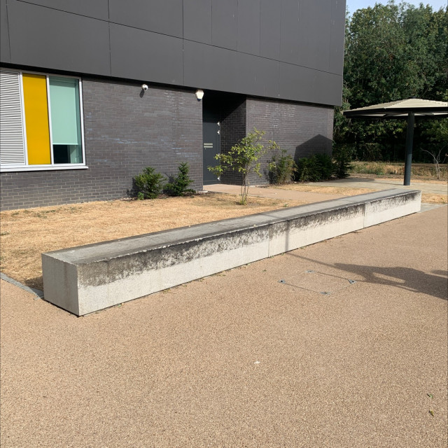 Big waxed ledge