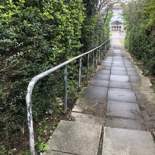Hedge cutter needed