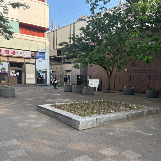 低め　レッジ