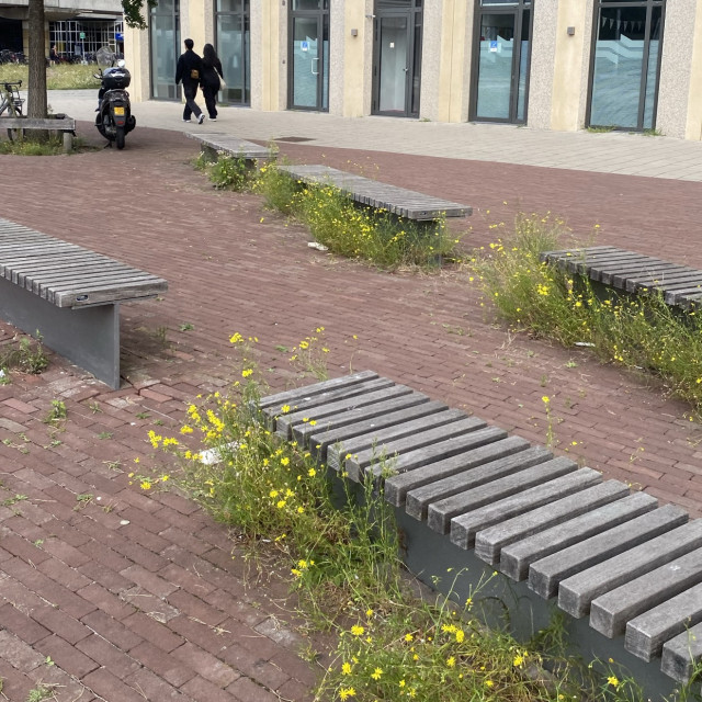 Bench gaps