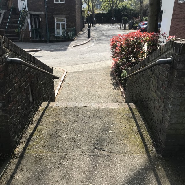 Spot #12629
