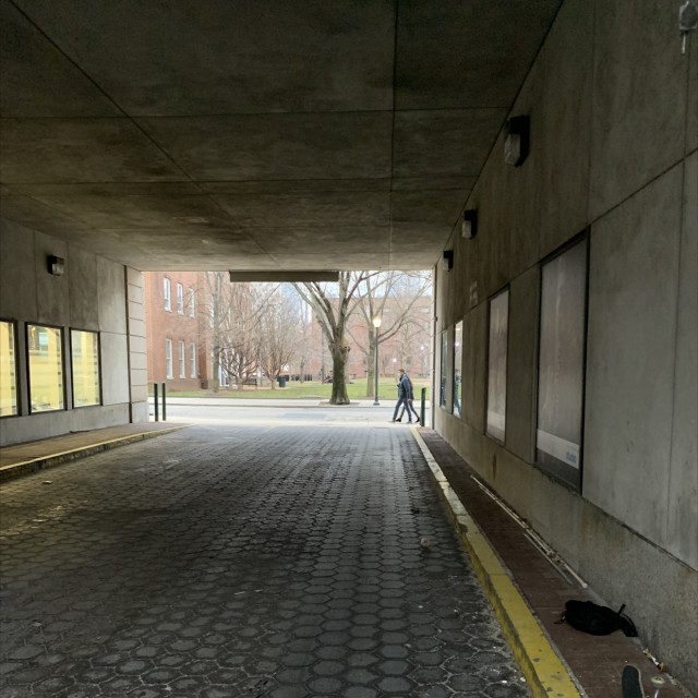 Spot #22620