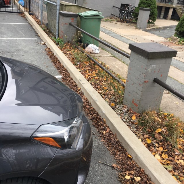 Spot #21699