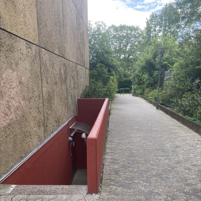 Spot #31383