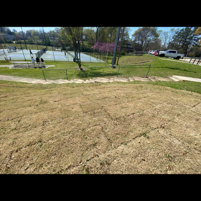 Civic Center gap to handi