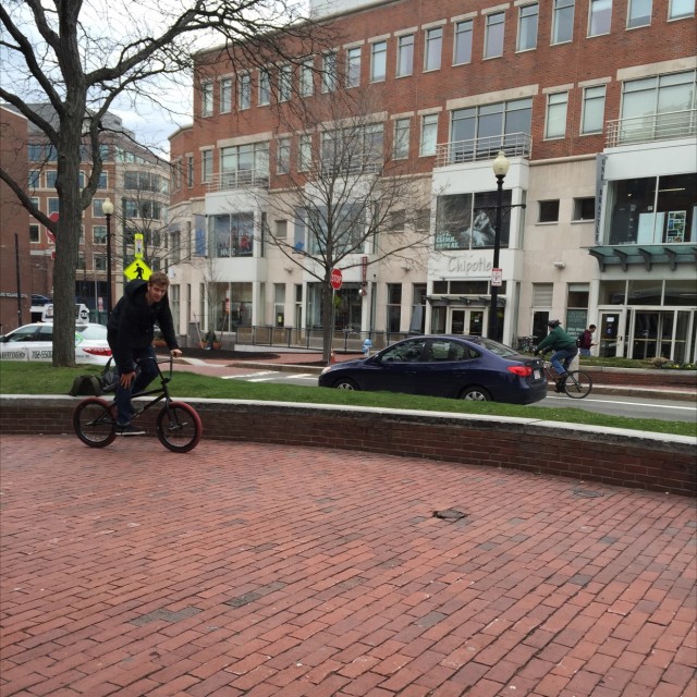 Harvard square curve ledges 