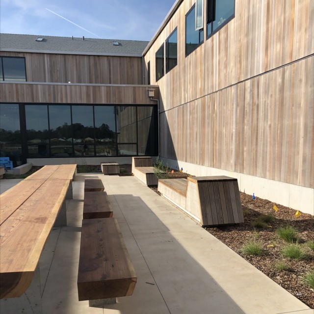 Weird wooden benches 