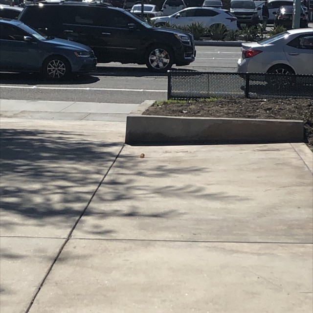 Spot #12247