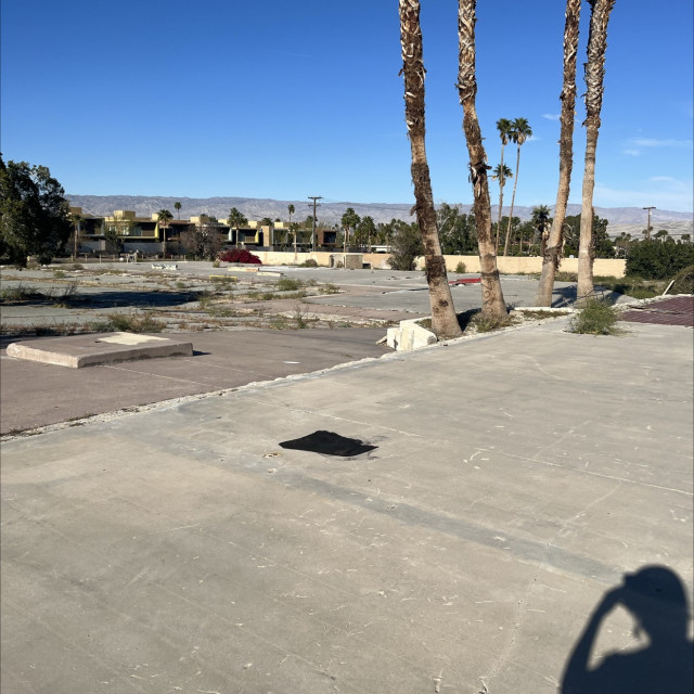 Palm Springs D.I.Y.
