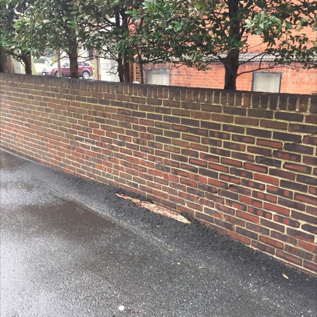 Spot #9977