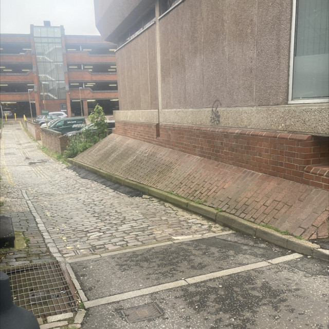 Buttfuckalley