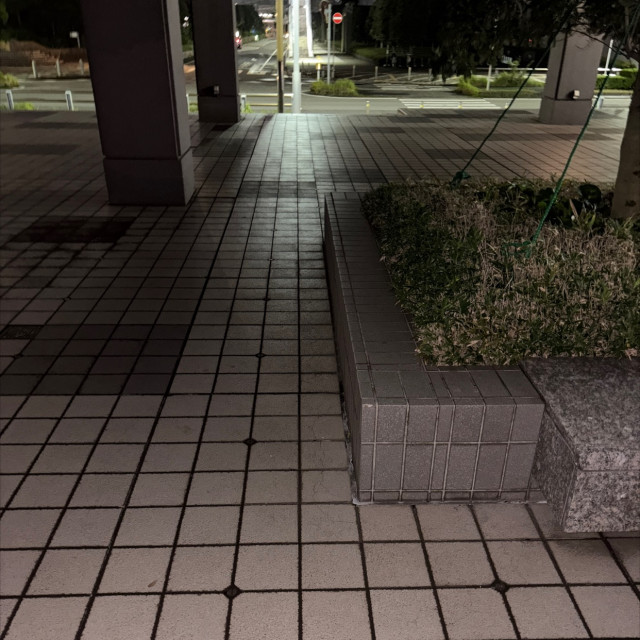 レッジ