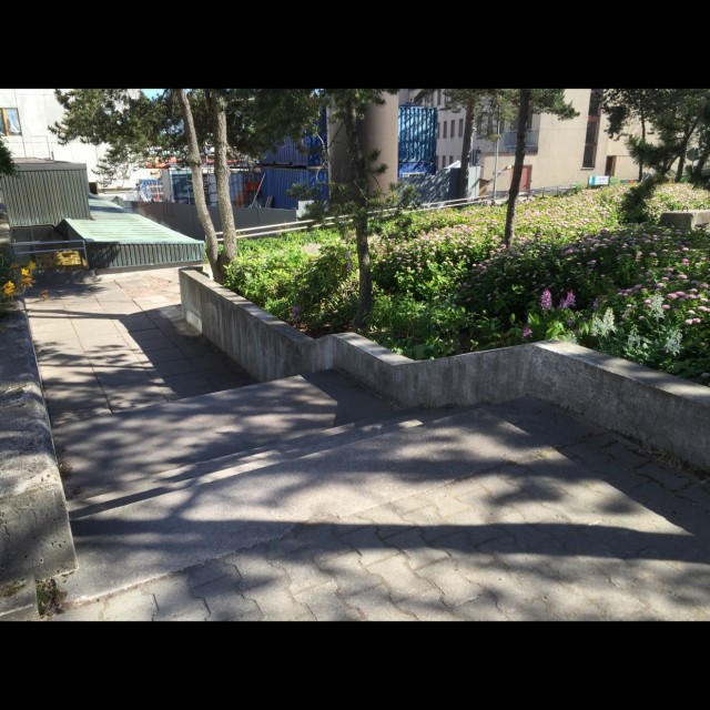 Meilahti Kink Ledge
