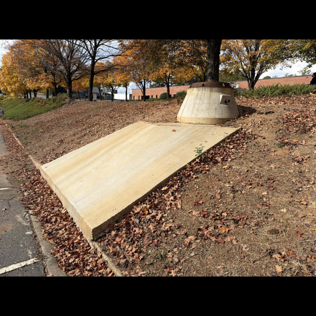 Spot #50323