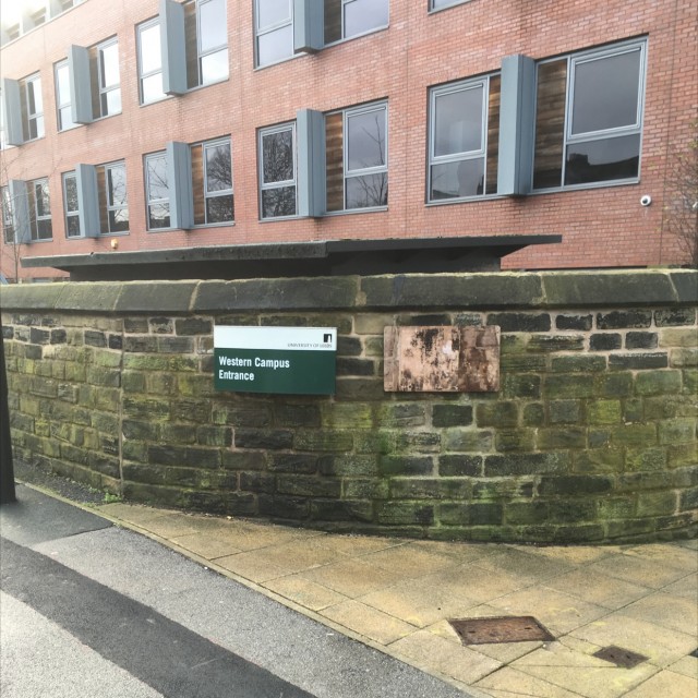 Spot #8321
