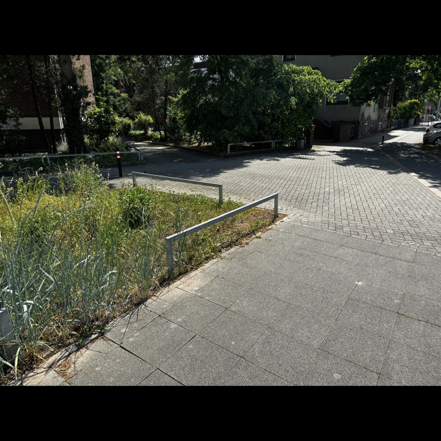 Spot #49691