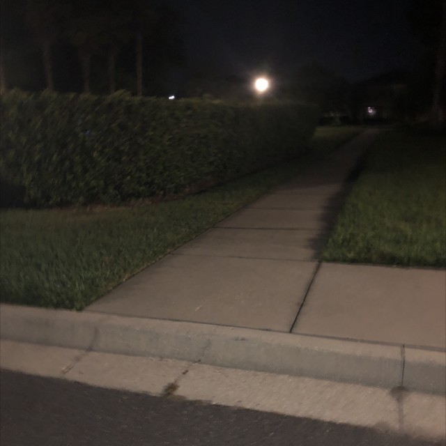 walden woody curb