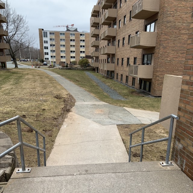 Spot #24365
