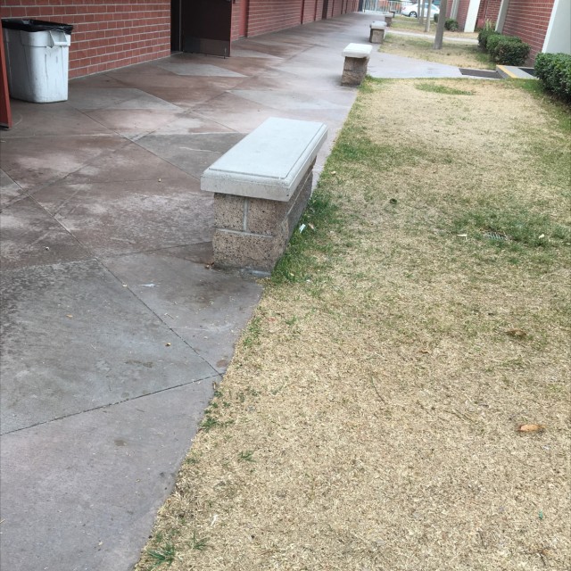 concrete ledges 
