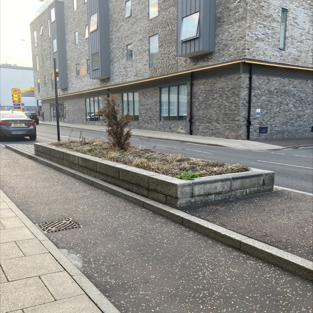 Road gap ledges