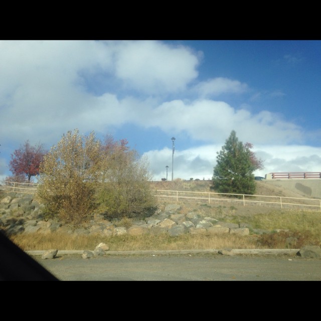 Spot #9520
